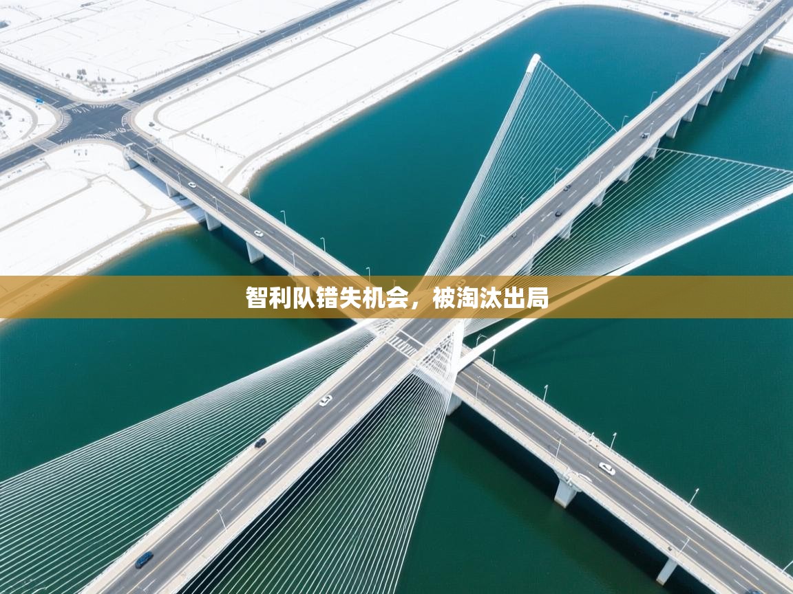 智利队错失机会，被淘汰出局  第2张