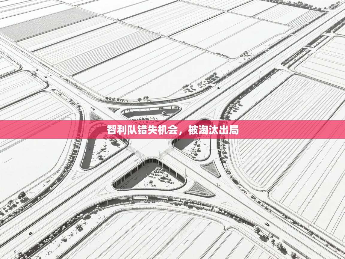 智利队错失机会，被淘汰出局  第1张